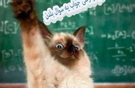 عکس ضد پسرا طنز