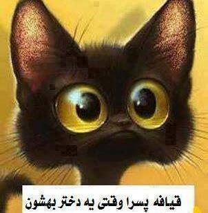عکس ضد پسرونه