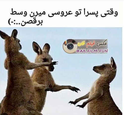 عکس ضد پسران