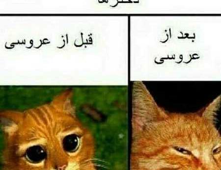 عکس ضد پسرها