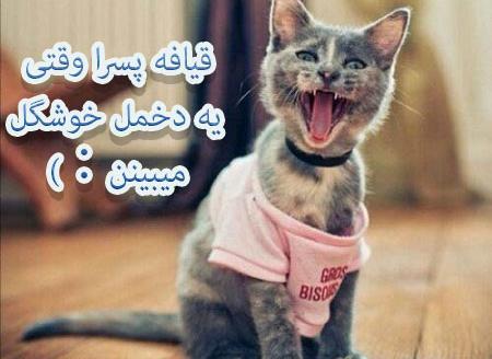 عکس های تیکه دار ضد پسر