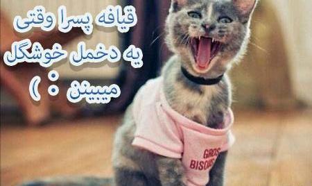 عکس نوشته ضد پسر جدید