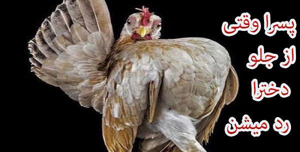 عکس نوشته ضد پسر جدید