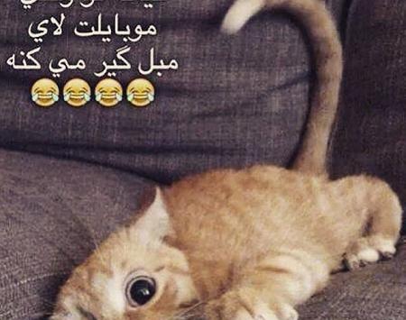 عکس ضد حال پسر