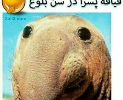 عکسهای ضد پسر خنده دار