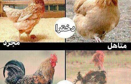 عکسهای ضد پسر خنده دار