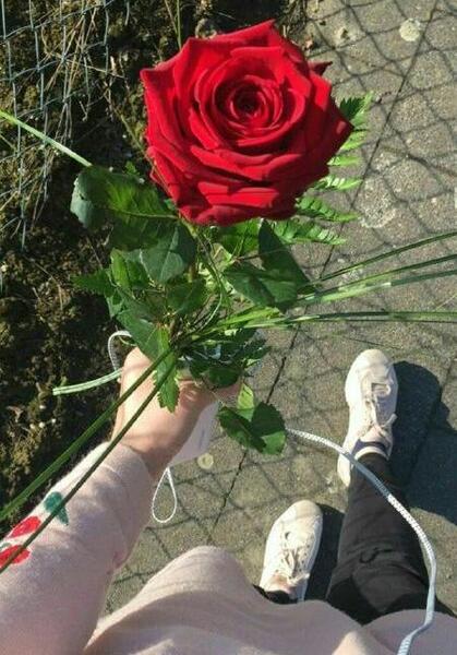 عکس دخترونه گل برای پروفایل