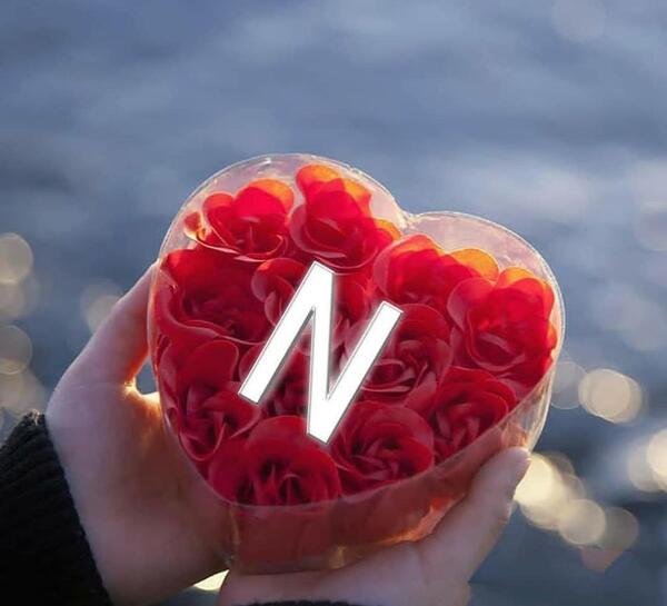عکس پروفایل دخترونه اسم n