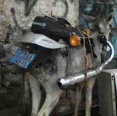عکس موتور آمیکو