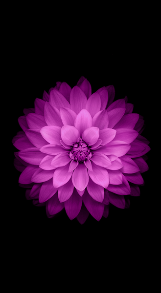 عکس اپل برای صفحه گوشی
