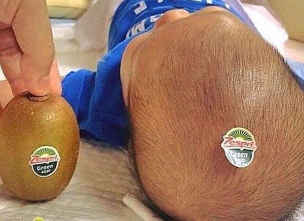 عکس اپل خنده دار
