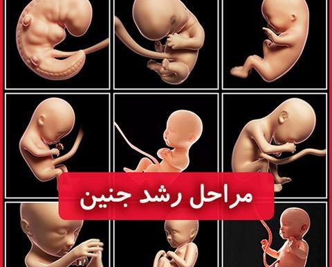 عکس ماه اول