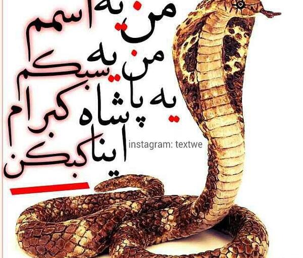 عکس نوشته سهراب ام جی