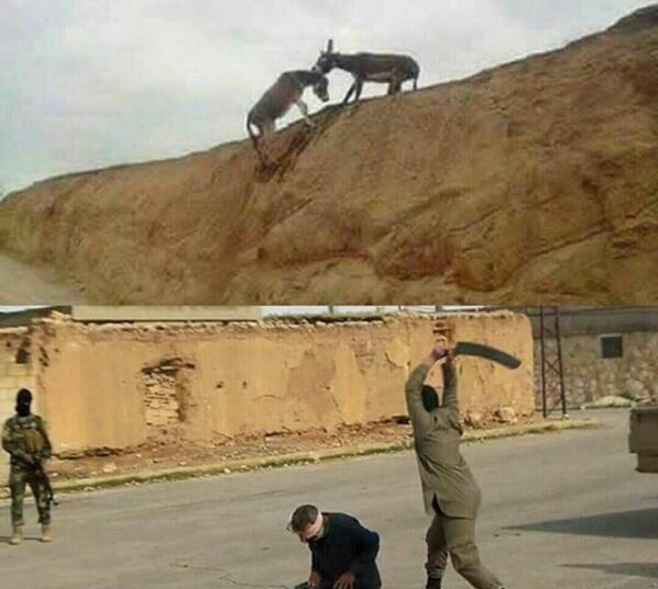 عکس با یک دنیا حرف