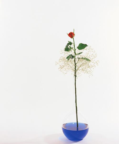 عکس با یک شاخه گل