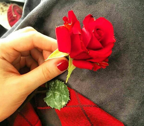 عکس دختر با یک شاخه گل