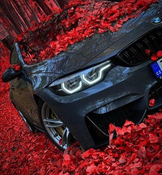 عکس پروفایل بی ام و