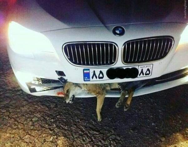 عکس بی ام و تصادف