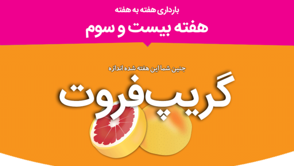 عکس جنین بیست و سه هفته