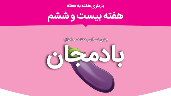عکس جنین بیست و شش هفته
