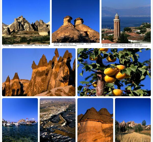 عکس بیست و نهم