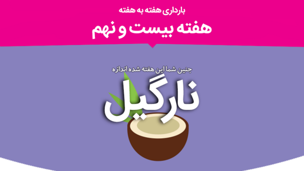 عکس جنین بیست و نه هفته