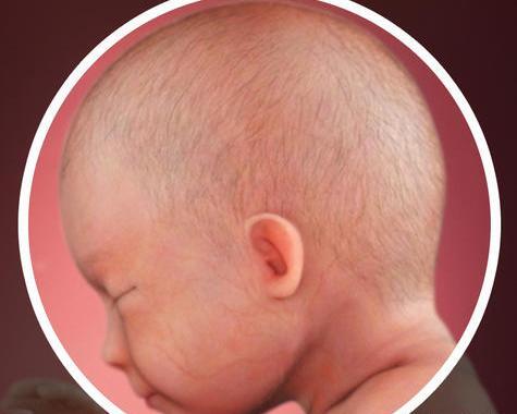 عکس جنین بیست و نه هفته ای
