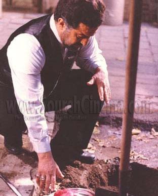 عکس شب بیست و نهم