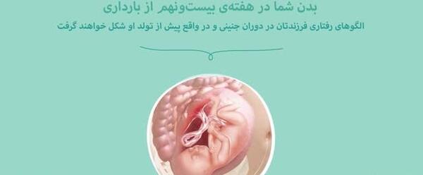 عکس هفته بیست و نهم بارداری