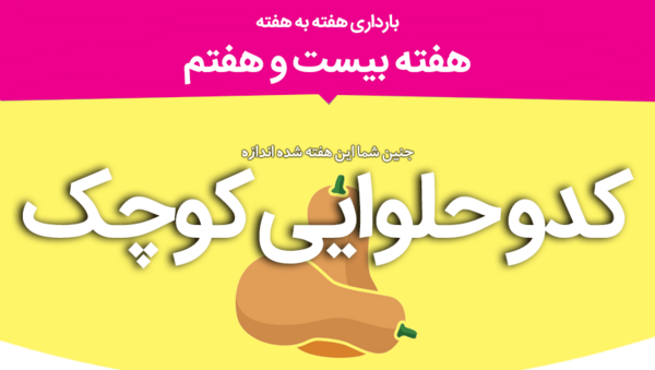 عکس جنین بیست و هفت هفته