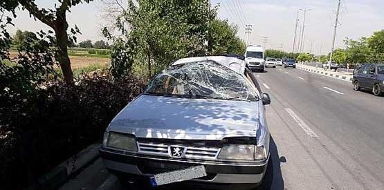 عکس پژو در تصادف