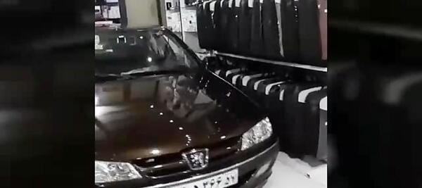 عکس پژو قهوه ای
