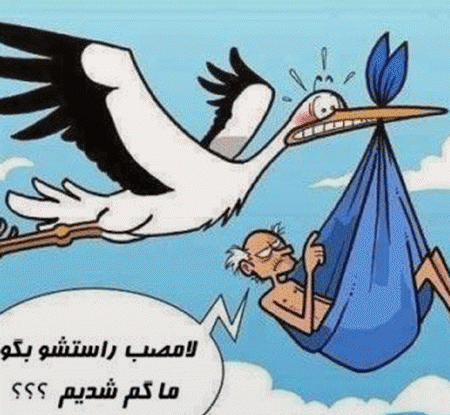 عکس حیوانات جک