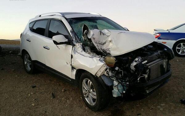 عکس جک شاسی کوتاه