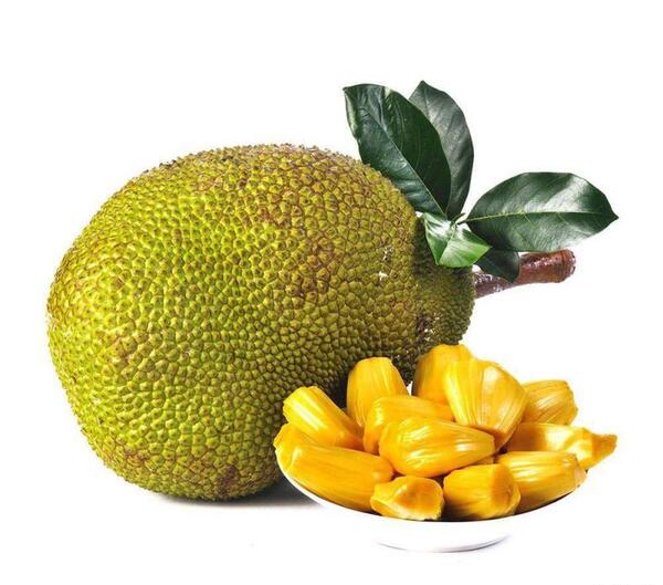 عکس جک فروت