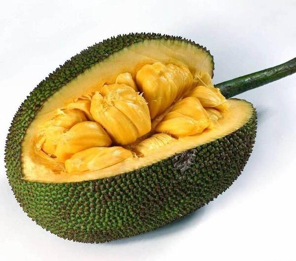 عکس جک فروت