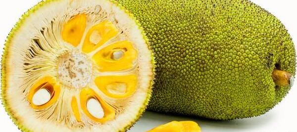 عکس جک فروت