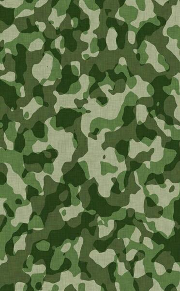 عکس چریکی