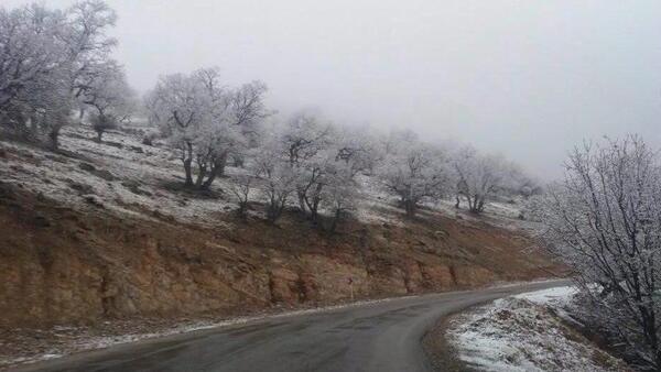 عکس گردنه چری