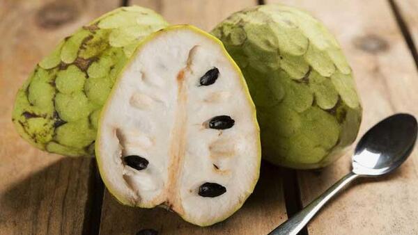 عکس چری مویا
