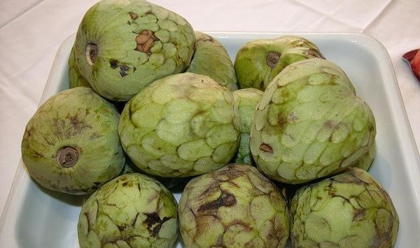 عکس چری مویا