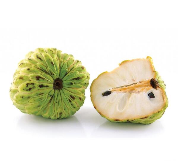 عکس چری مویا