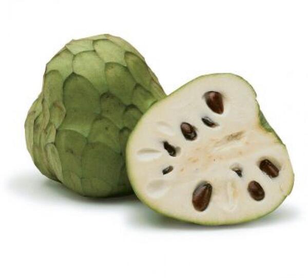 عکس چری مویا