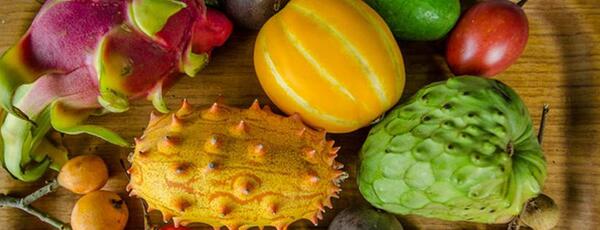 عکس چری مویا