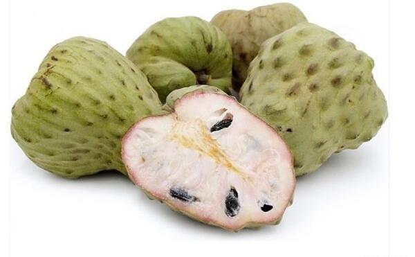 عکس چری مویا