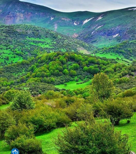 عکس چشمه داماش