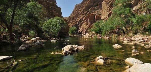 عکس چشمه داماش