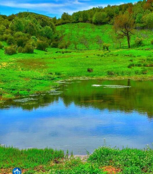 عکس چشمه داماش