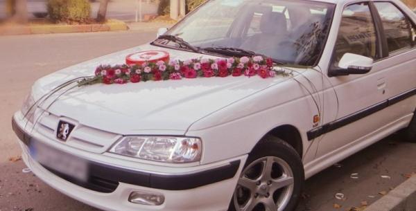 عکس داماد شهید بابایی