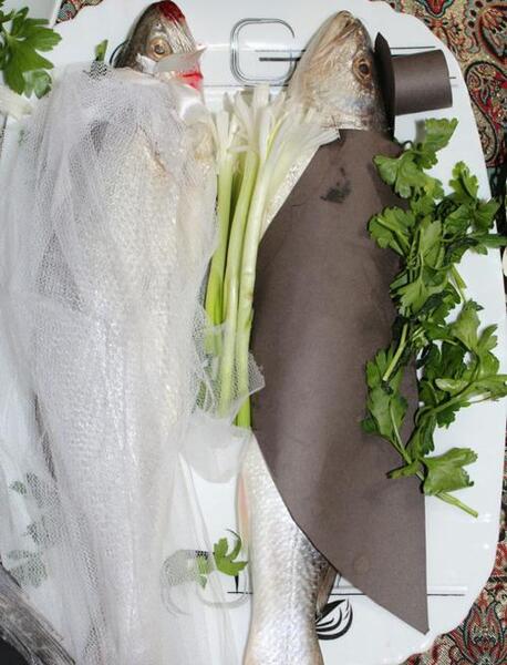 عکس داماد ماهی